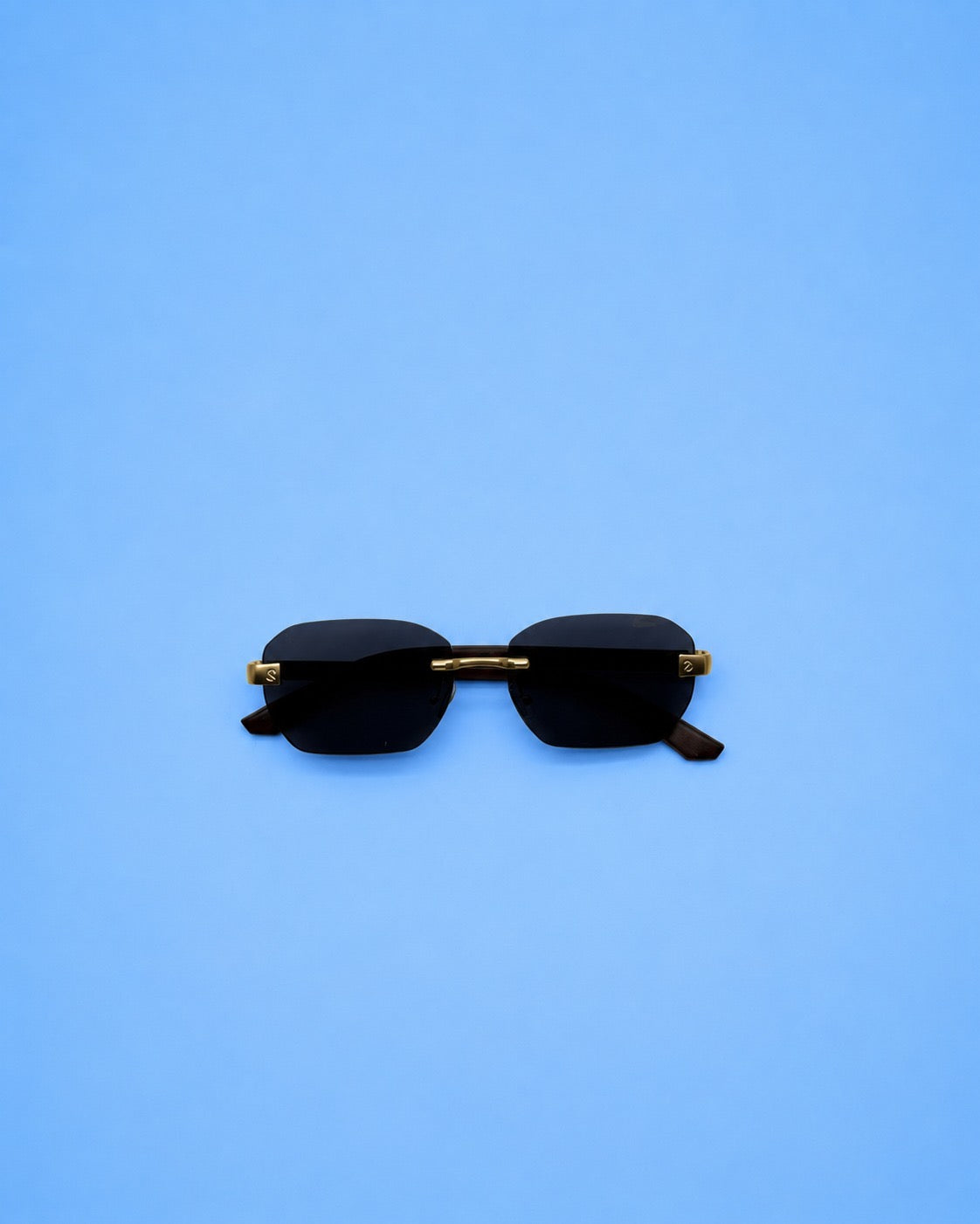Gold-Tone Rimless Rectangular Sunglasses